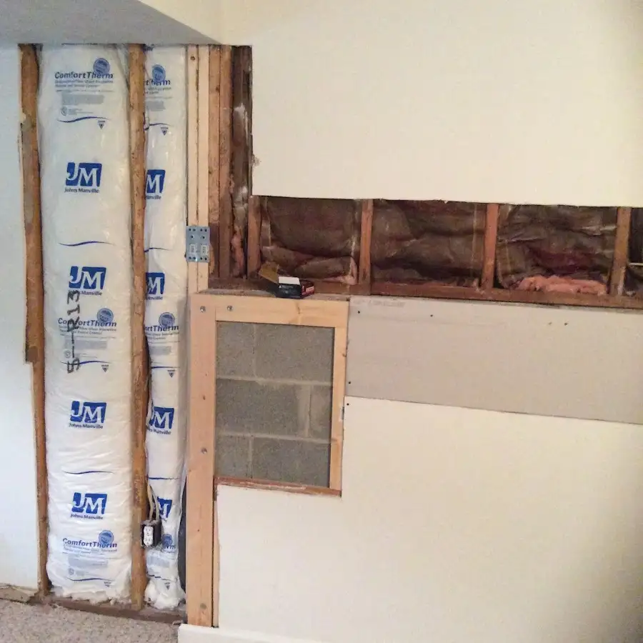 Wall insulation replacement during Odor Removal & Deodorization in Hutchison